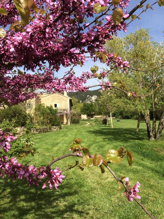 La Ferme Des Belugues Bed & Breakfast Le Barroux Exterior photo